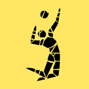 Volley World App logo